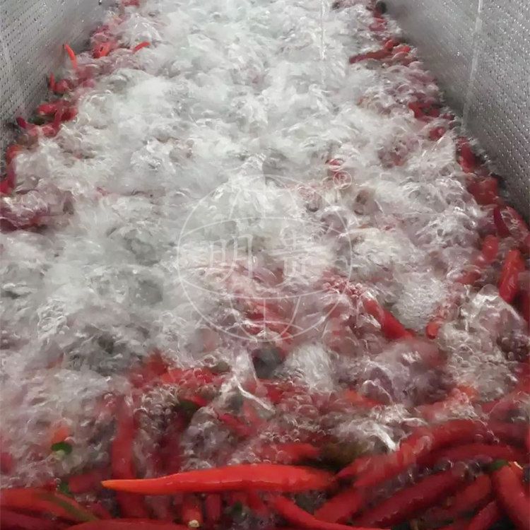 辣椒气泡清洗机 鼓泡喷淋洗菜机器 土豆片气浴漂洗清洗机