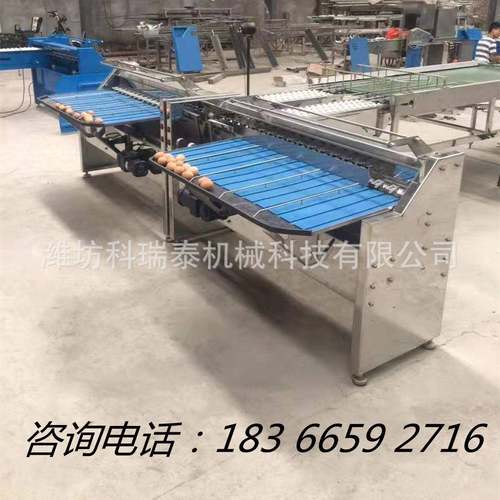 中小型蛋品分选设备 鸡蛋鸭蛋小型重量分级机 机械式种蛋分选机
