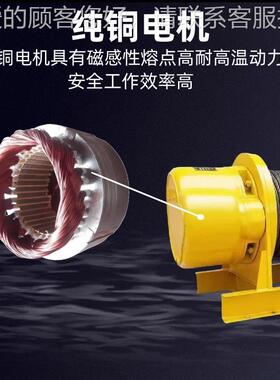 电SBM动卷扬机12TTTT一字型建筑牵引葫芦快速提升机 电控 电磁805