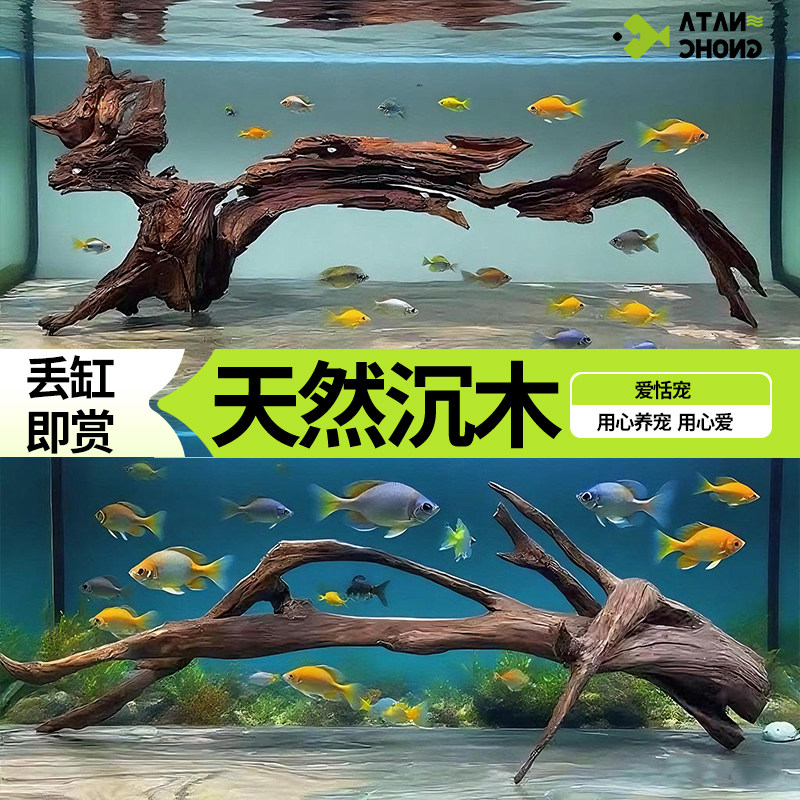 沉木鱼缸造景摆件专用底部砂石乌龟晒台寄居蟹躲避屋小米鱼缸装饰