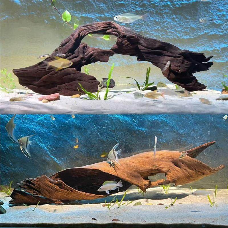 鱼缸造景50-80cm精品沉木