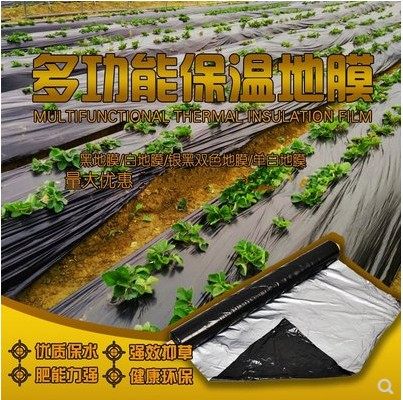 加厚农用除草膜塑料银黑色地膜反光膜大棚防草保湿黑白面膜