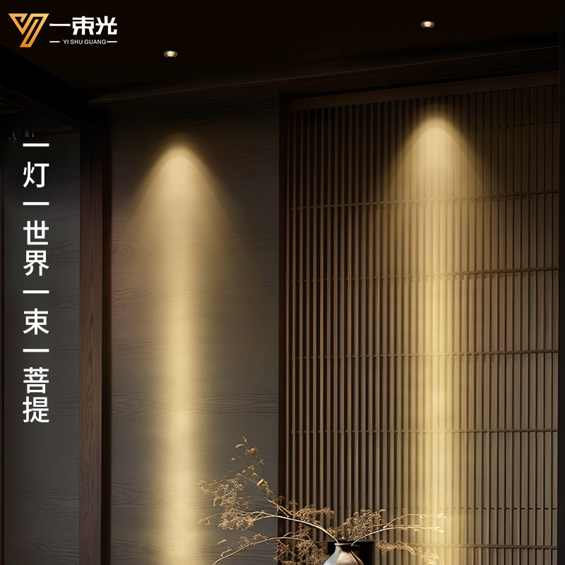 一束光聚光小角度客厅玄关吊顶茶室水吧台氛围嵌入式