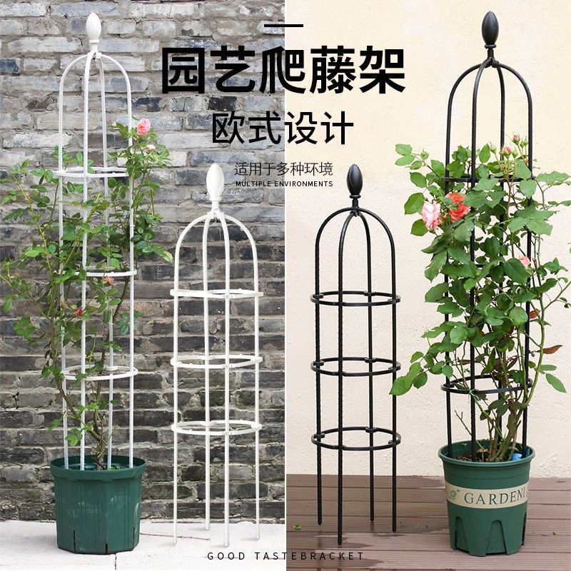 爬藤架型支架欧式园艺攀爬藤架子阳台园艺菜园月季架
