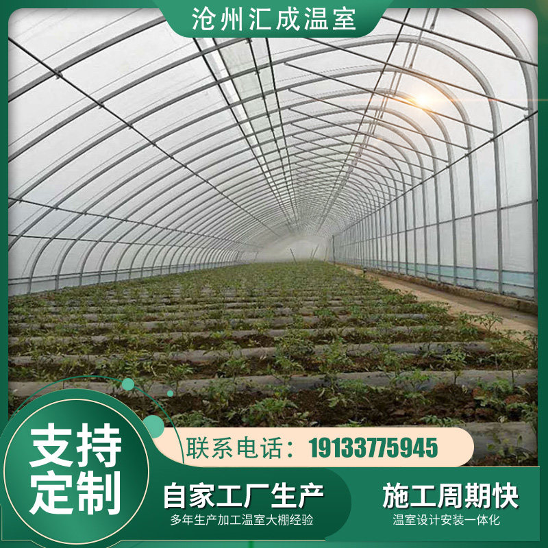 温室大棚骨架日光温室农业种植蔬菜大棚草莓暖棚卉种植钢管大棚