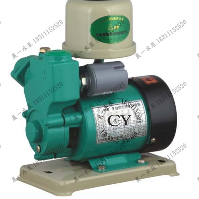 鹿鼎WZB-15-1家用全自动冷热水自吸增压泵1///7w