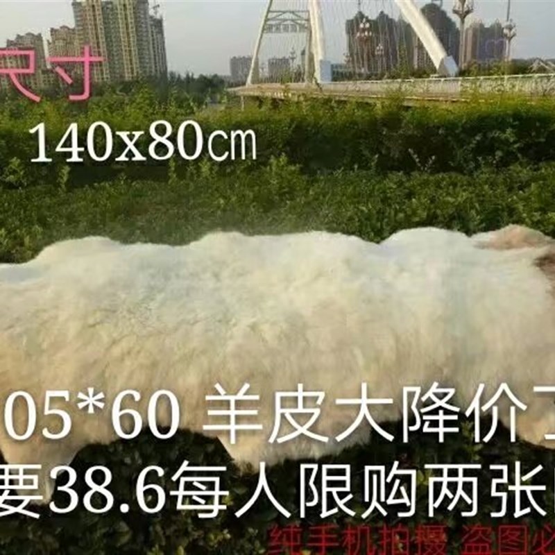 羊皮皮毛一体沙发垫毯子地毯坐垫飘窗客厅卧室整张羊皮