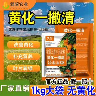 骠骑黄化一撒清柑橘果树龙病专用药叶片黄化转绿补充营养强健树势