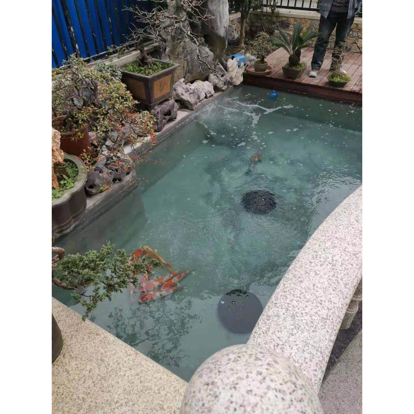 锦鲤鱼池水池底排口盖排水口盖水族过滤材料专用排污口盖池底飞碟,宠物/宠物食品及用品,过滤材料,淘宝优惠券,粉丝福利购,淘宝优惠卷