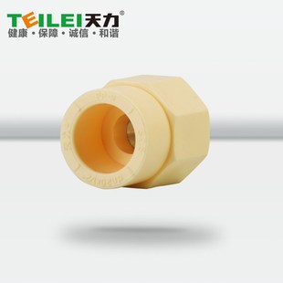 天力管水管 材质水管 抗菌分管承口外螺纹接头