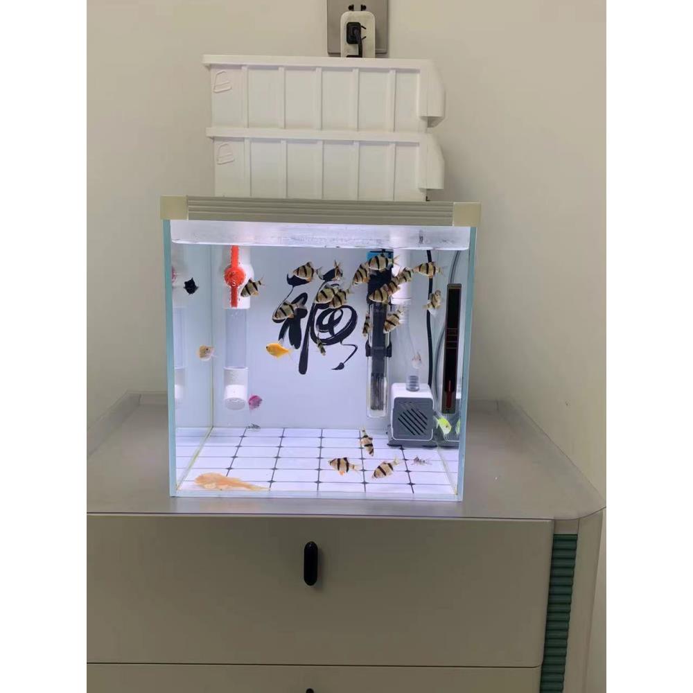 30-35鱼缸上过滤上置顶滤过滤盒滴流盒托架周转箱小型水族箱过滤