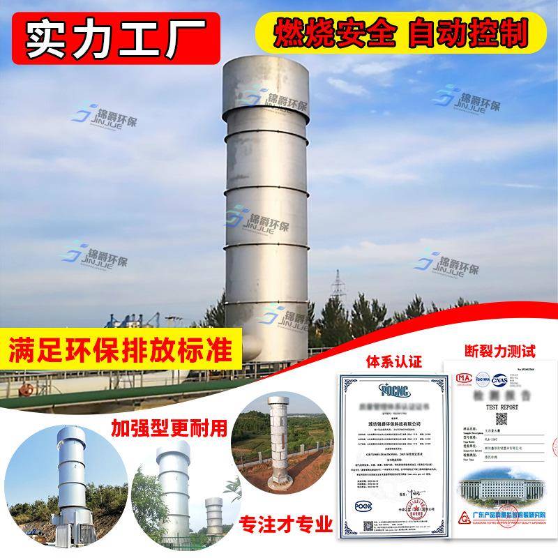 生活垃圾焚烧内燃式沼气火炬发电项目200立方不锈钢沼气火炬