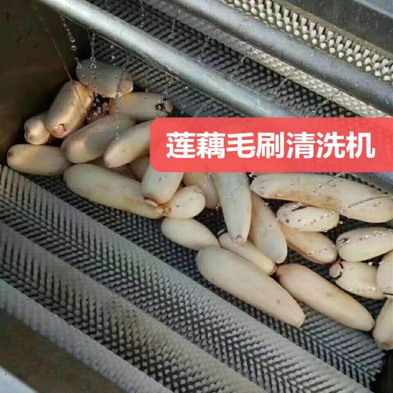 现货莲藕清洗毛辊去皮机厂家直供猪头U型喷淋毛刷清洗机,清洗/食品/商业设备,其他食品加工设备,淘宝优惠券,粉丝福利购,淘宝优惠卷