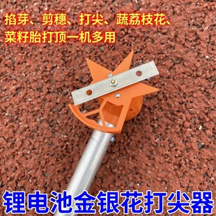 锂电池打尖器可伸缩款花椒打尖机冬枣金银花小型锂电池电动打尖器