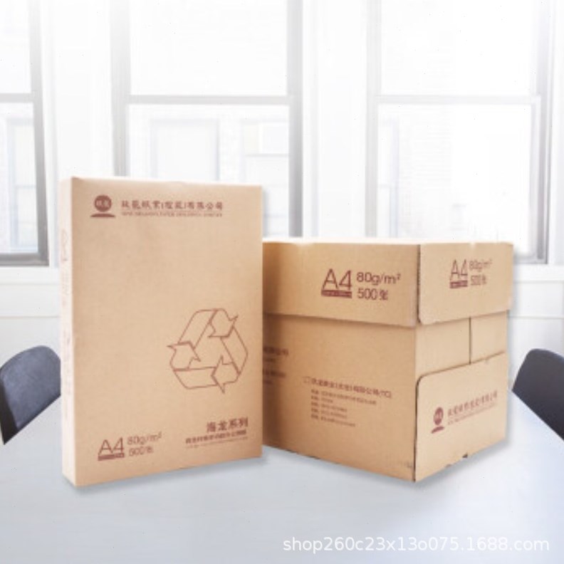 玖龙 牌海龙系列复印纸公A3A4打印纸复印纸70g/80g 500张/包