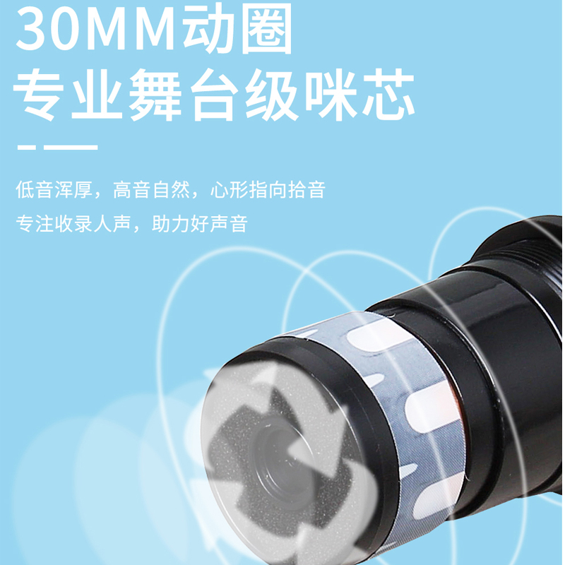 得普声 W5无线话筒专业麦克风万能麦KTV家用K歌调频手持唱歌电脑