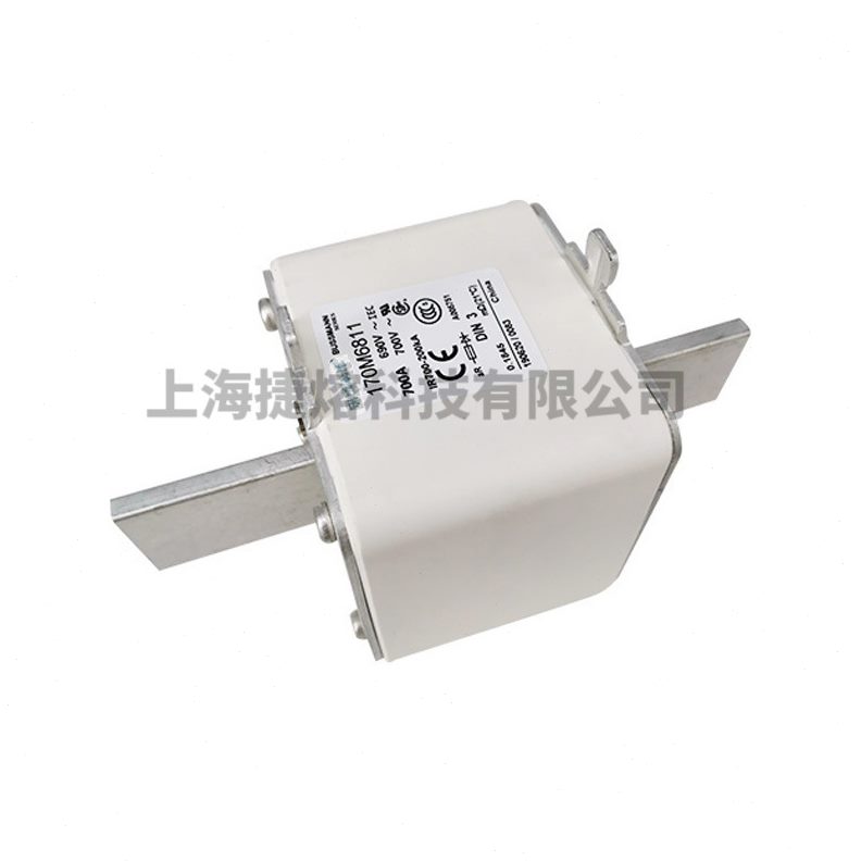 甄选170M6810  170M6811 快速熔断器  保险丝 电子元器件 量大价