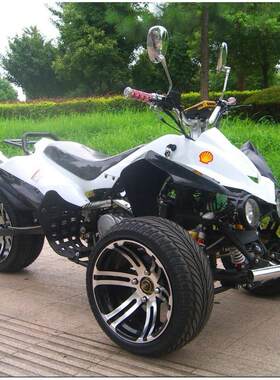厂家直销250cc ATV 倒三轮 两轮越野车 农夫车 沙滩摩托车 UTV