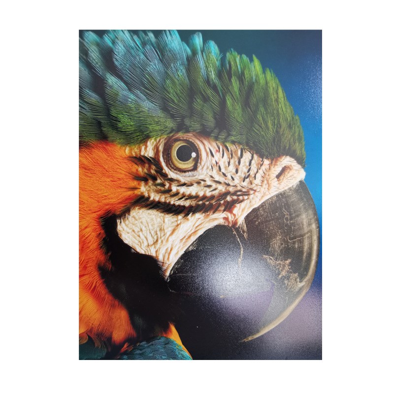 防水RC相纸200克高光绒面喷墨打印影楼耗材婚纱照片喷绘卷筒24寸