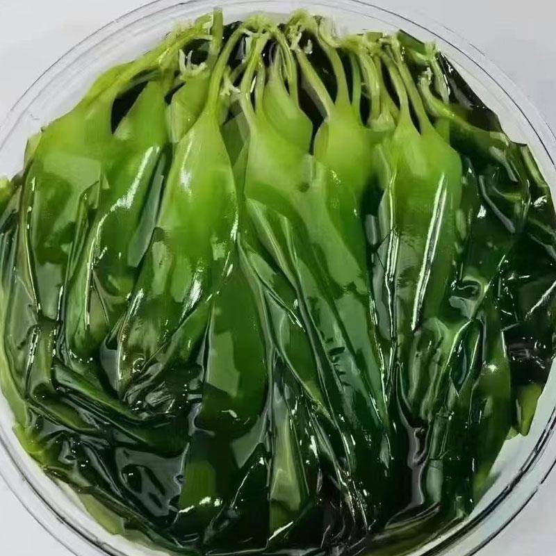 新品渔翁与海速冻海带苗500g20包霞浦速冻免泡发新鲜海带嫩芽火锅