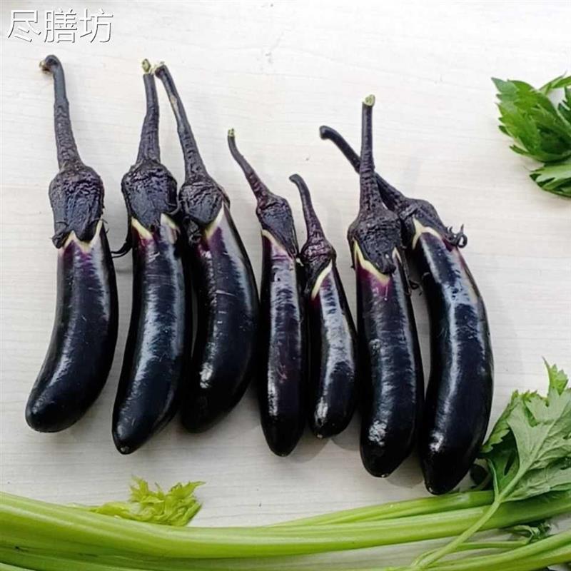 东北迷你小紫茄子水果茄子