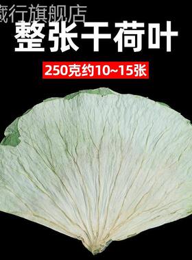 荷叶整张新鲜正品糯米鸡专用叫花鸡黄泥大何叶片熬粥的干荷叶