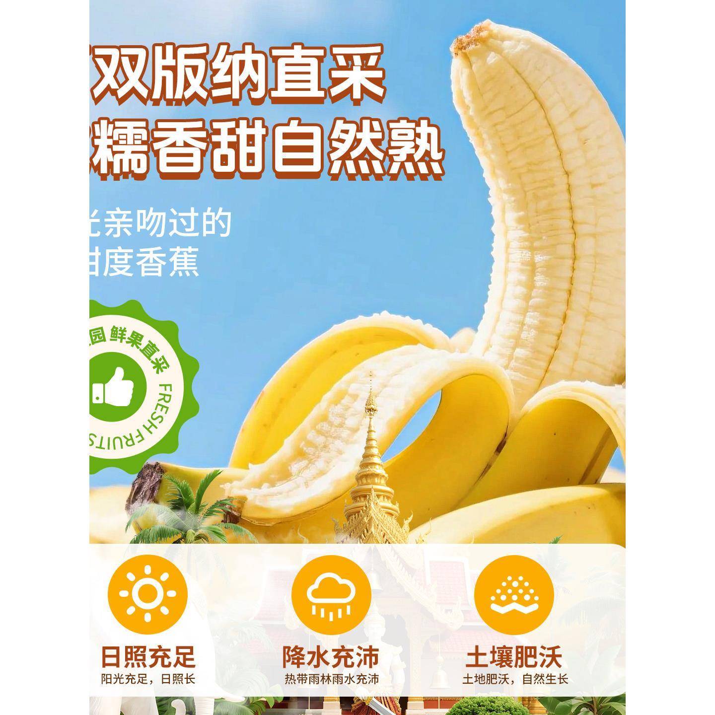 云南香蕉干原味芭蕉西双版纳特产非油炸香蕉片傣家手工水果干果脯