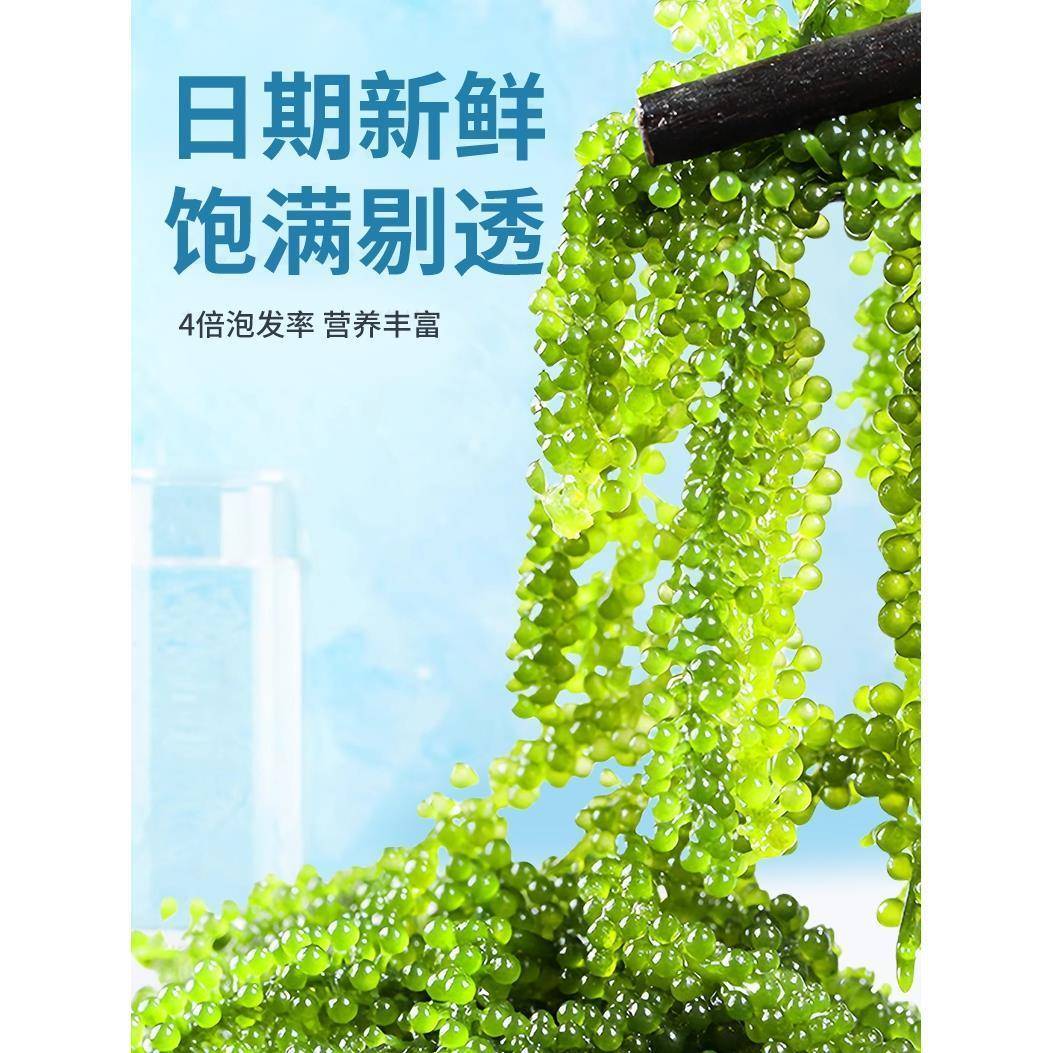 海葡萄即食绿色鱼子酱泡发儿童新鲜盐渍海葡萄食用零食官方旗舰店