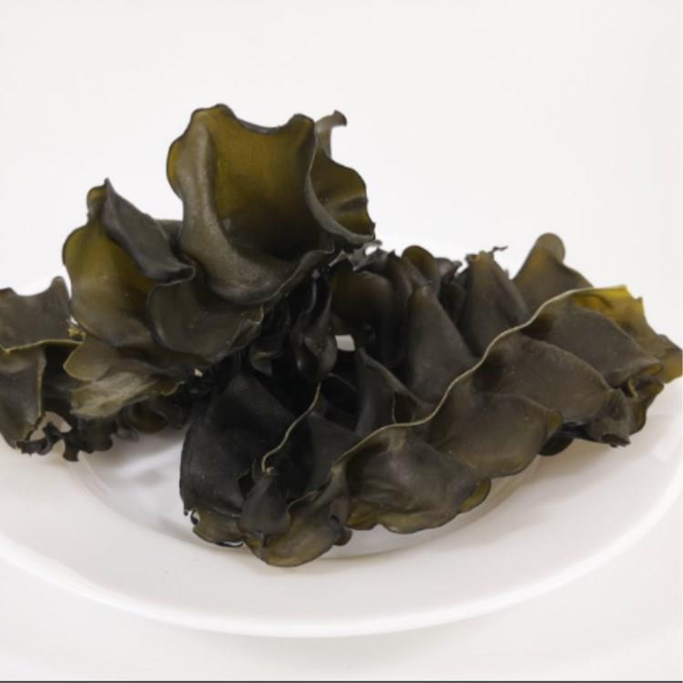 海木耳 海灵芝 裙带耳 海产干货 威海直发