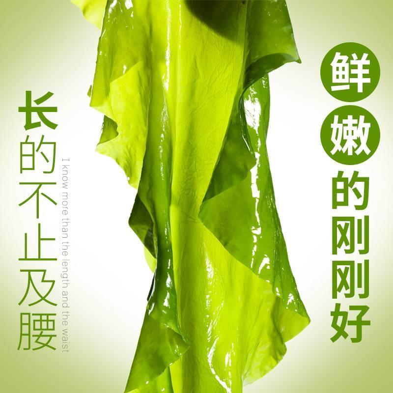 新鲜海带嫩特深海级有机小海带包饭盐渍厚火锅海带丝头整片海芝宝