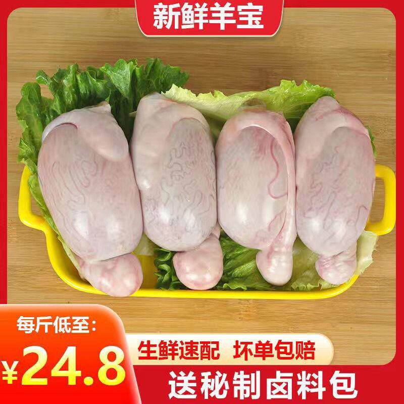 极速新鲜羊蛋现宰冷冻清真