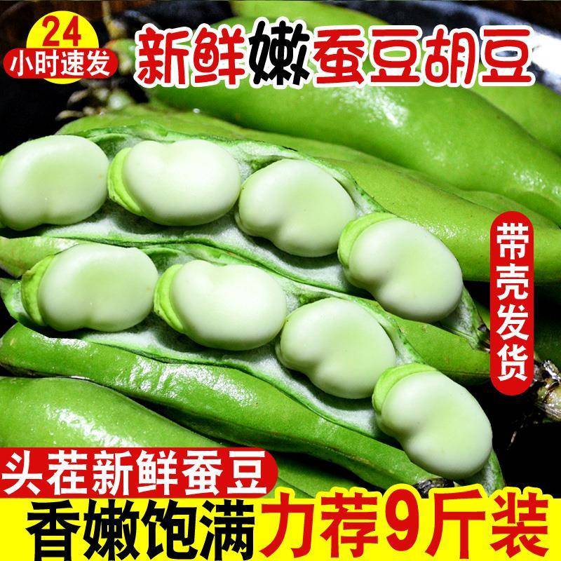 新鲜农家速冻蚕豆带壳嫩蚕豆米罗汉豆兰花胡豆大青豆四川当季蔬菜