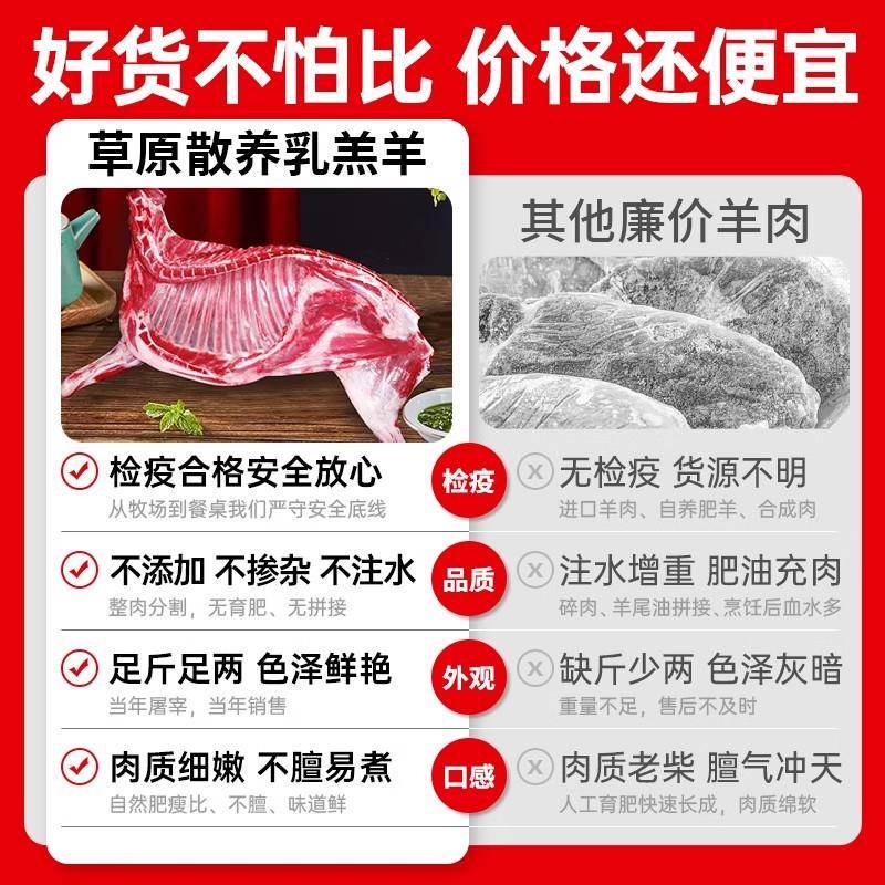 新品新鲜羊肉半只羊10斤手抓羊肉生鲜羊后腿羔羊排羊蝎子火锅年货