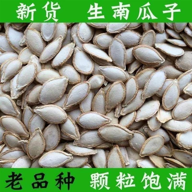 生南瓜子土南瓜籽随州洪山特产农家南瓜子带壳原味新鲜生瓜子