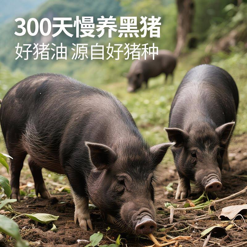 新品大希地黑猪油食用油家用炒菜拌面拌饭粉烘焙起酥油动物油荤油