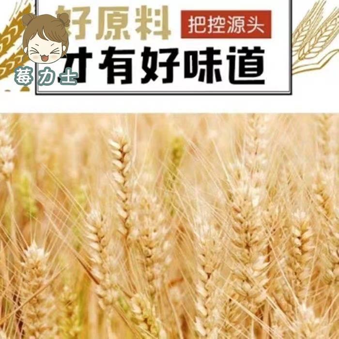 潢川贡面河南黄川空心贡面手工挂面面条方便速食龙须面