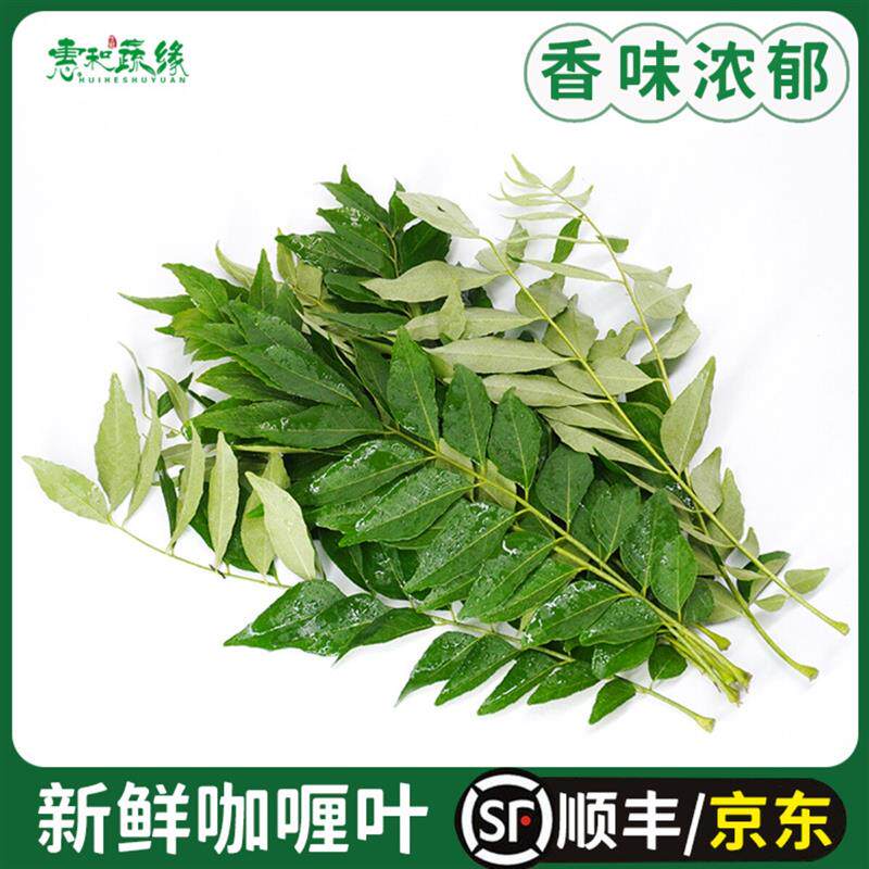 新鲜咖喱叶泰国餐厅用咖喱