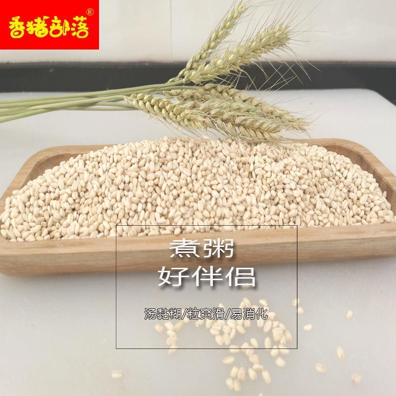 白糯小麦仁农家五谷杂粮粥饭代餐饱腹易消化非燕麦粗粮