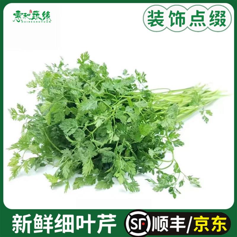 新鲜细叶芹100g西餐摆盘