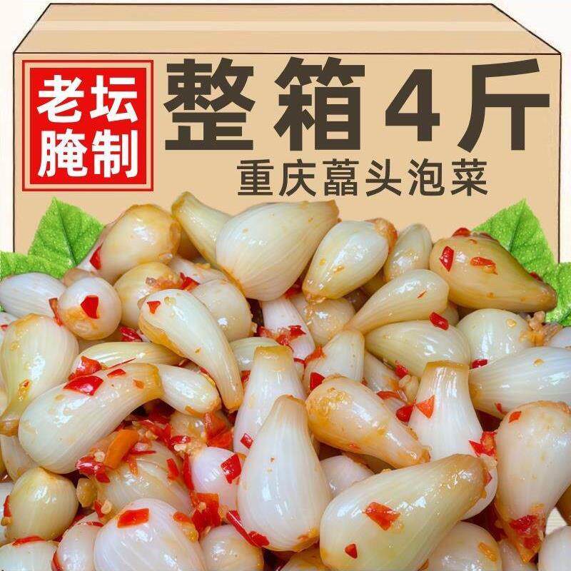 四川泡菜酸辣泡藠头重庆正宗泡葱头泡白菜蒜麻辣新鲜茭头腌制香辣