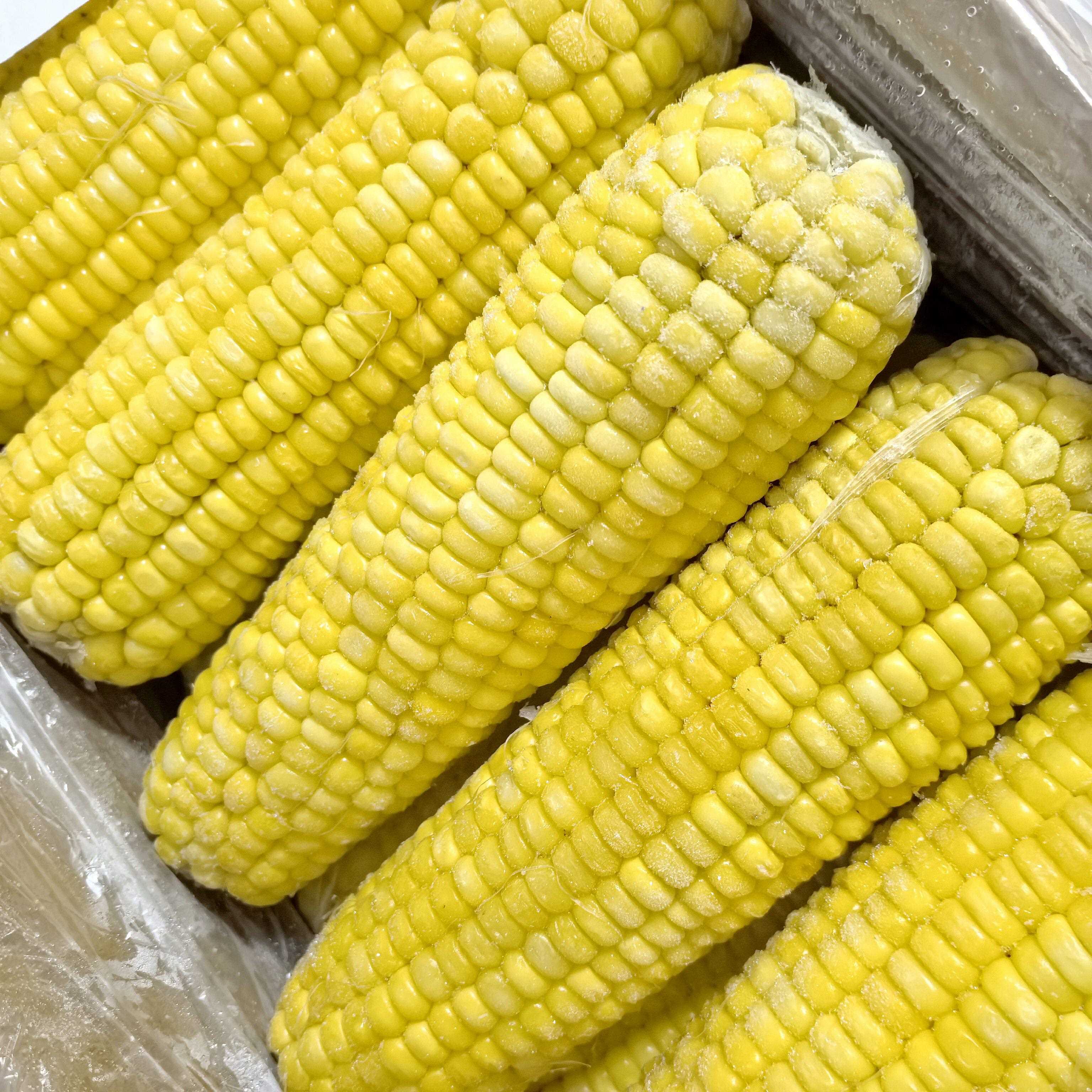 新品整箱甜糯玉米白玉米棒黄玉米早点店商用冷冻速冻苞米粗粮自助