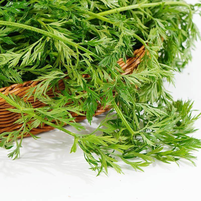 新鲜手指萝卜叶子500g摆盘装饰点缀花草叶子手指胡萝卜纯叶子