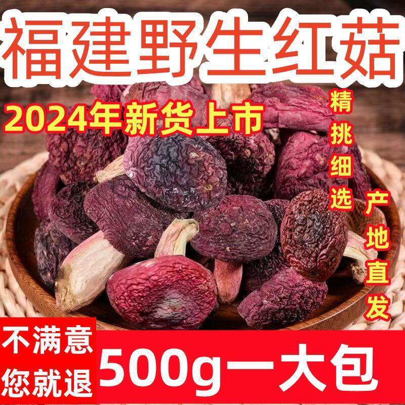 新货野生开伞红菇500g现货正宗福建特产红椎菌干货莆田红蘑菇开伞