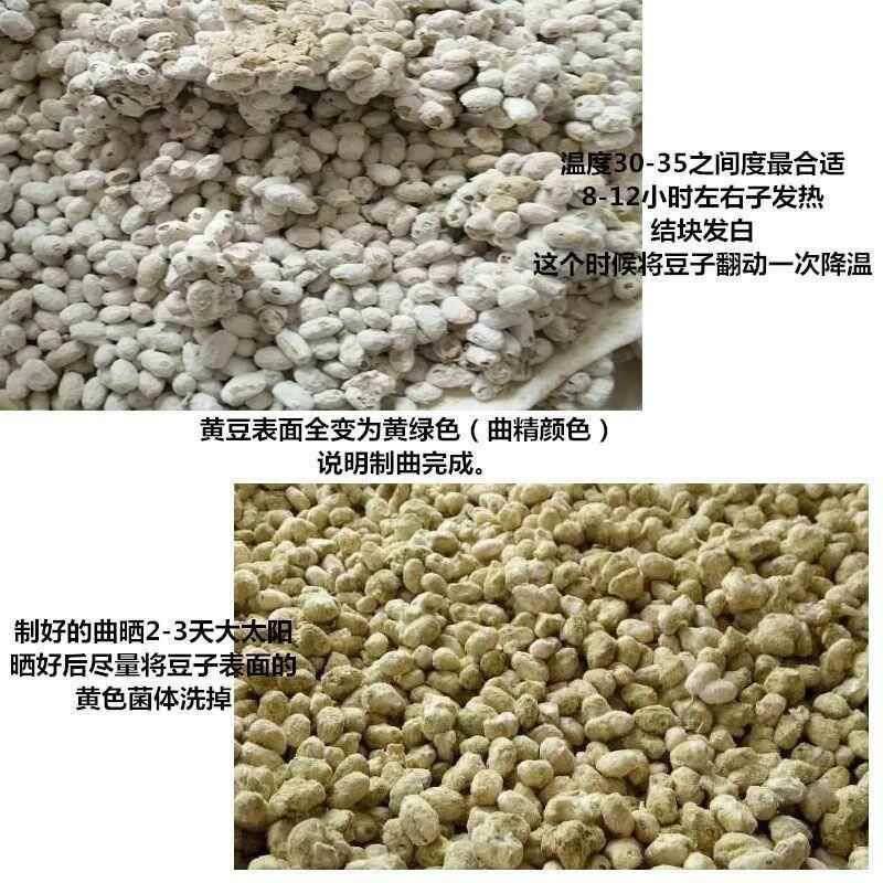 酱油发酵菌酱油发酵粉做酱油的发酵菌大酱黄豆酱油发酵酱品发酵粉