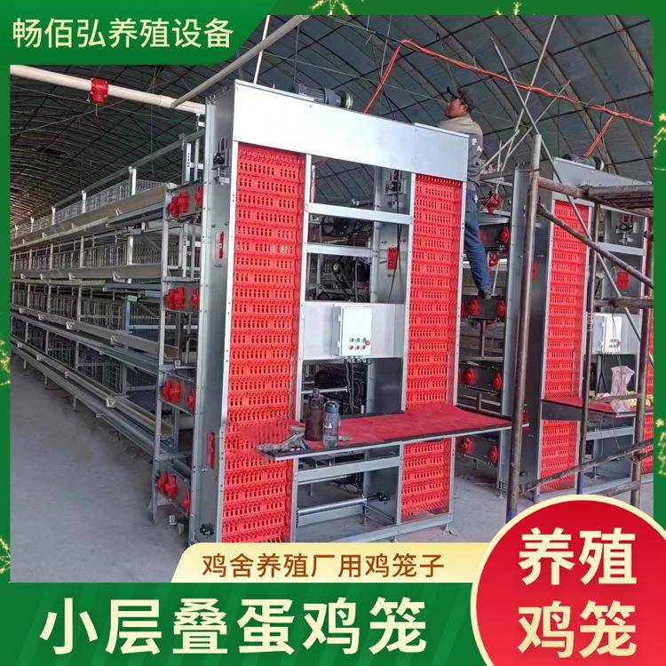 小层叠蛋鸡笼用热镀丝鸡笼全自动厂家自动化捡蛋喂料清粪