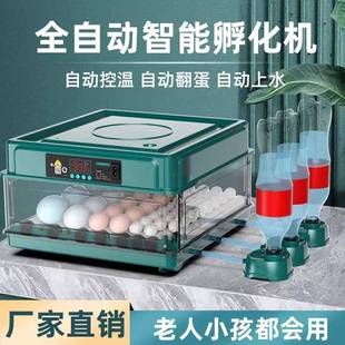 跨境孵化器小型全自动孵化机家用机械智能孵蛋器芦丁小鸡鹌鹑