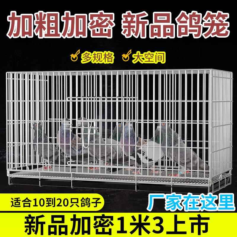加粗鸽子笼包邮鸽子用品用具鸽子配对笼养殖笼子金属折叠大号
