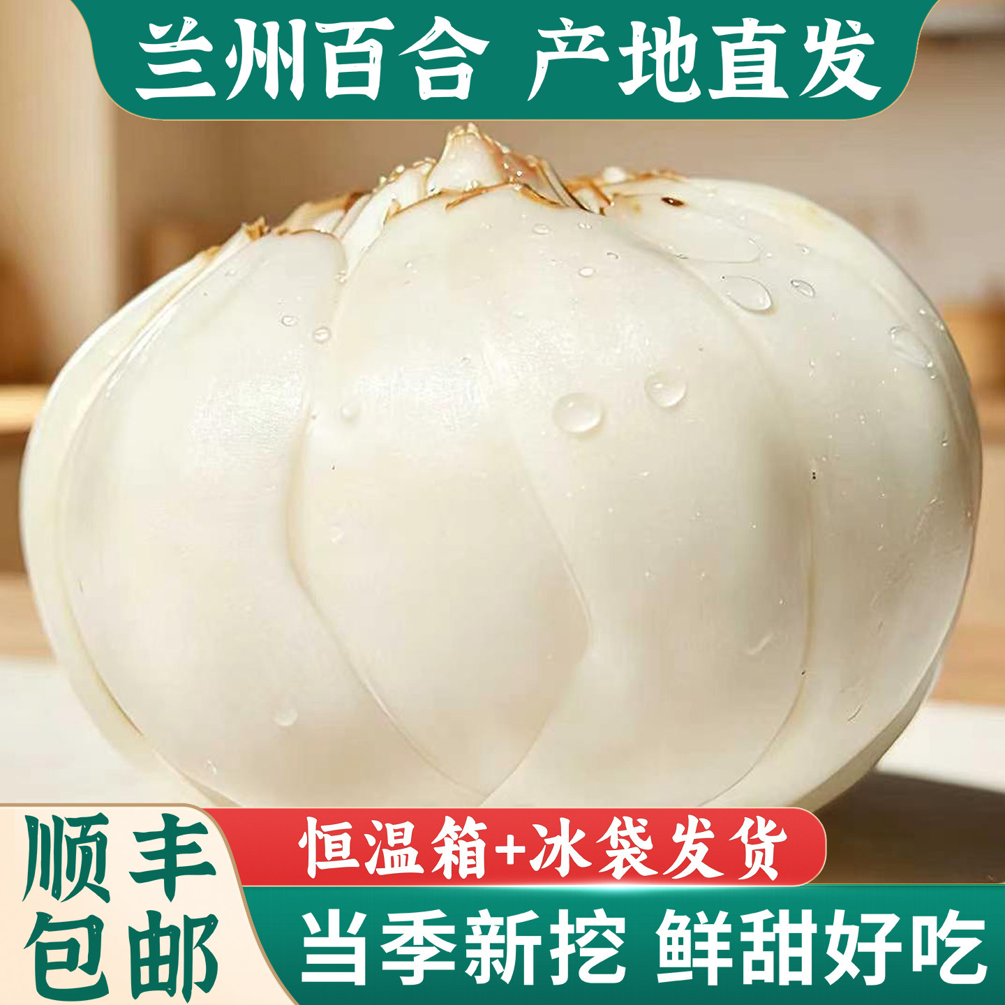 西寻记兰州百合新挖500g甜百合图片