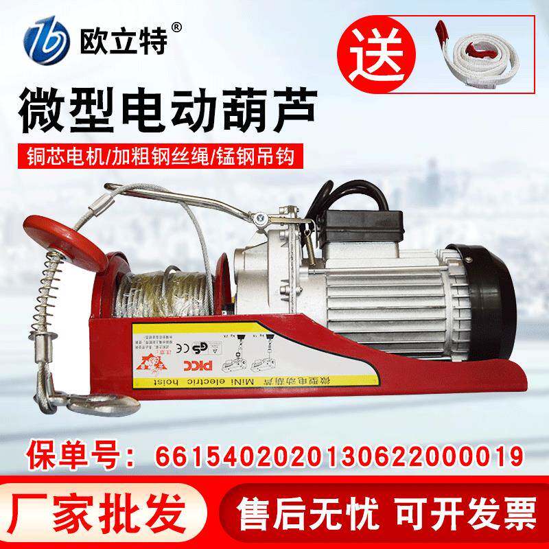 微型电动葫芦220v吊机家用提升机0.5吨1T建筑装修升降机家用吊机