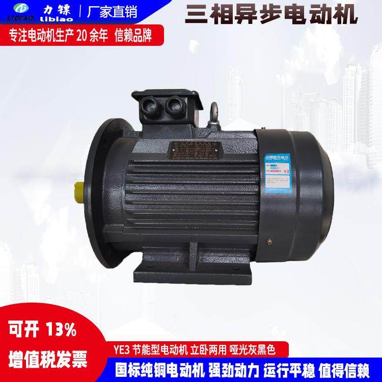 无振动大功率纯铜电机YE3-18.5/22/30/37/45/55W三相异步电动机